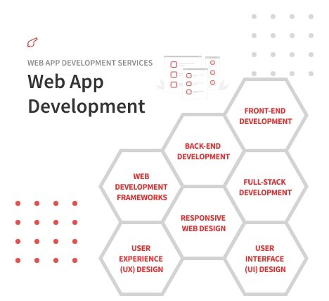 Custom Web App Development Services Company - Novaito